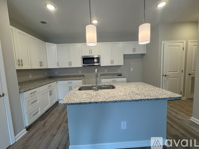 143 Emerson Pt Dr 2 Beds Apartment for Rent - Photo gallery 2