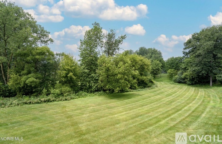 A grassy field with trees on the side and a cloudy sky above.