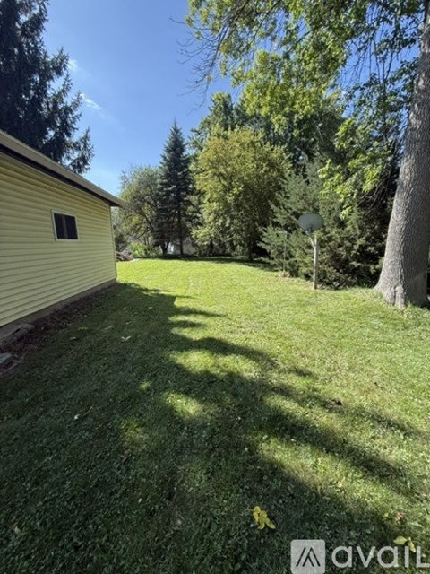 A backyard with a house, trees, and a lawn.