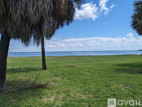 A grassy field with a tree and a body of water in the distance.