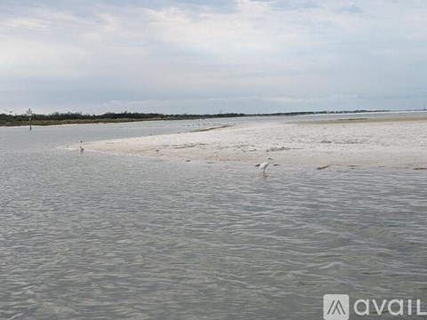 A beach scene with a few birds in the water.