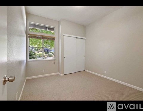 A room with a carpeted floor, a white door, and a window with a view of trees and a building outside.