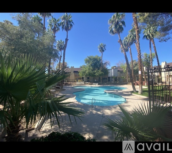 A pool surrounded by palm trees and plants.
