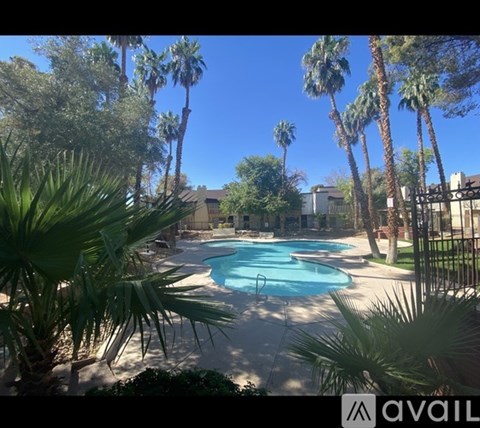 A pool surrounded by palm trees and plants.