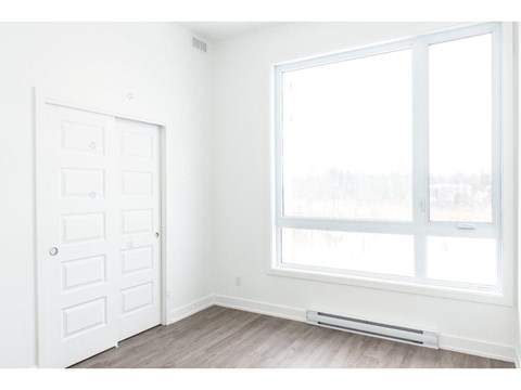 A white door with a window above it.