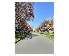 A tree-lined street with a clear blue sky above.