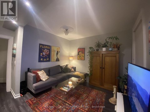 A living room with a grey couch and a red rug.