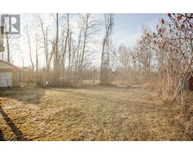 A field with a shed and trees in the background.