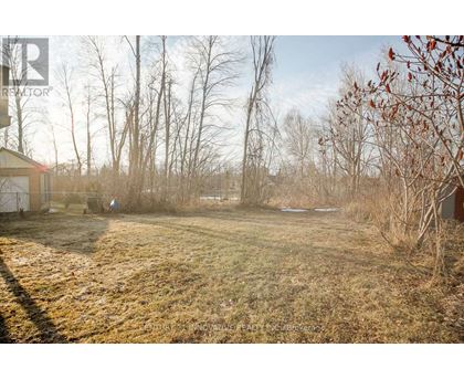 A field with a shed and trees in the background.