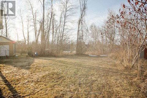 A field with a shed and trees in the background.
