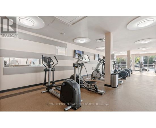 A gym with exercise equipment and a wall of windows.