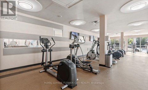 A gym with exercise equipment and a wall of windows.