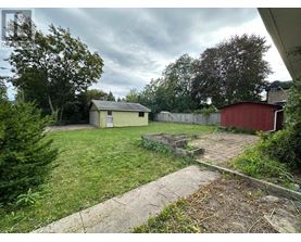 A backyard with a shed and a red barn.