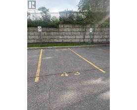 A parking lot with the numbers 43 and 44 painted on the pavement.