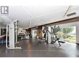 A gym with a variety of equipment including a treadmill, weights, and a bench press.