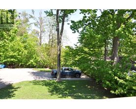 A blue truck is parked in a driveway surrounded by green trees.