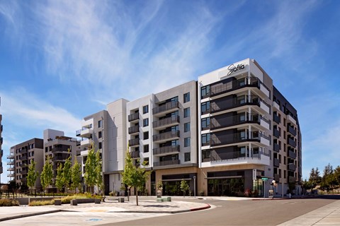 3580 Rambla Pl Studio Apartment for Rent