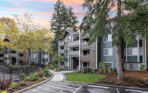 A residential area with apartment buildings and a tree.