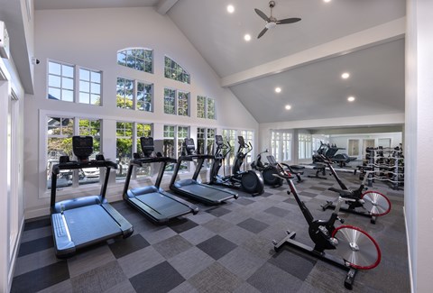 A gym with treadmills, elliptical machines, and a fan.