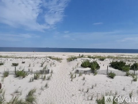 A beach with white sand and a few scattered bushes.