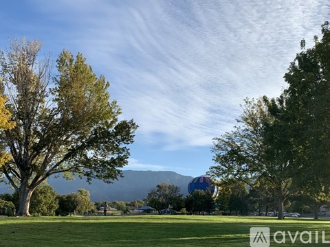 A park with trees and a blue hot air balloon in the distance.