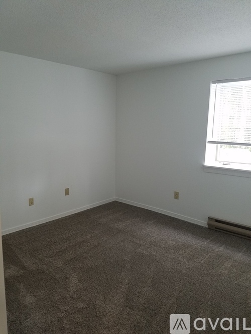 A room with a carpeted floor and a window.