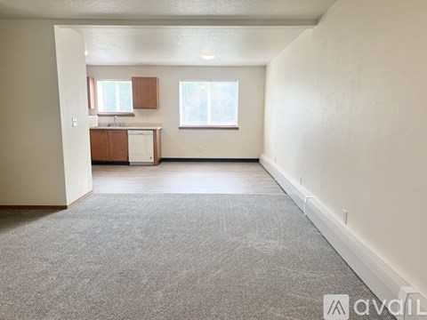 A spacious room with a carpeted floor and two windows.