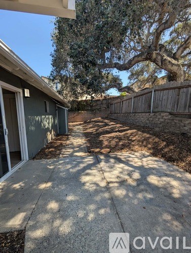 A concrete pathway leads to a house with a tree in the background.