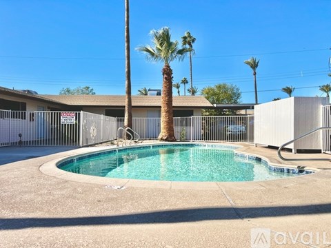A pool surrounded by a fence with a palm tree in the background.