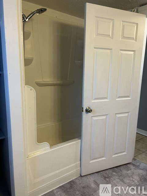 A white door is open to a shower.