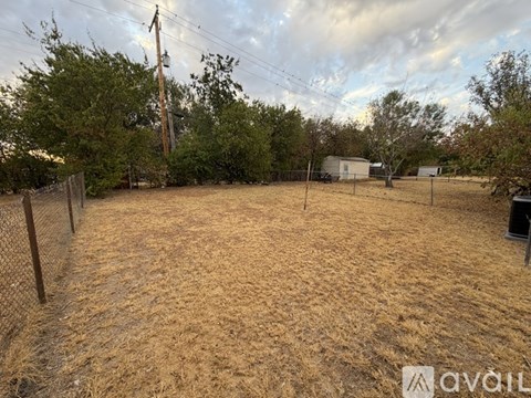 A backyard with a fence and a utility pole.
