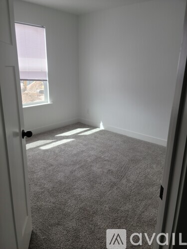 A room with a carpeted floor and a window letting in sunlight.