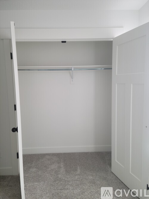 A white closet with a grey carpet and a white door.
