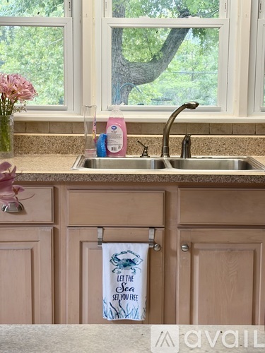 1010 East River Drive 3 Beds Single Family Home for Rent - Photo gallery 5
