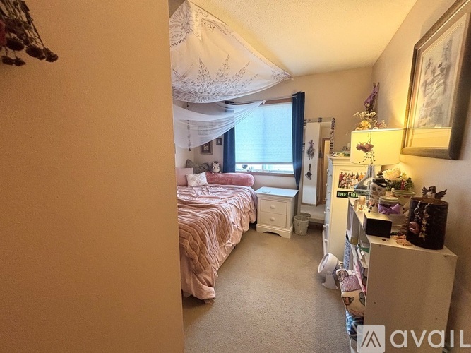 A bedroom with a canopy bed and a dresser with a mirror.