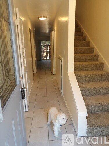 A small white dog is walking down a hallway.