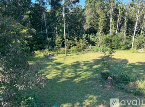 A grassy area surrounded by trees with a clear sky above.