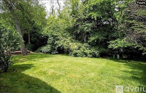 A lush green lawn surrounded by trees.