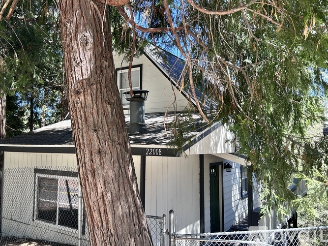 A tree is in front of a house with a fence.