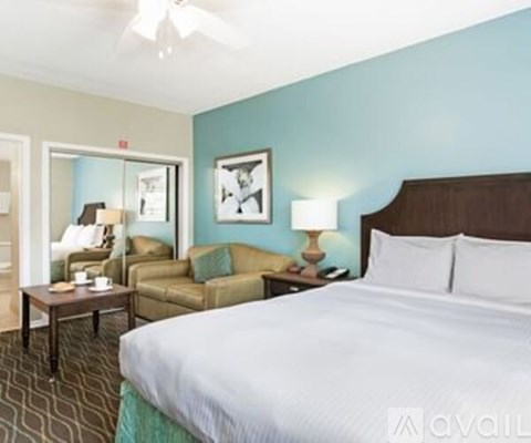 A bedroom with a large bed and a couch.