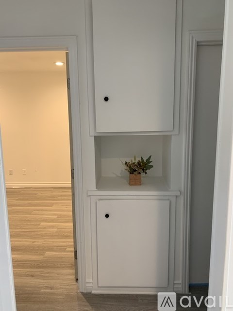 A white cabinet with a plant on top is in a room with wooden flooring.