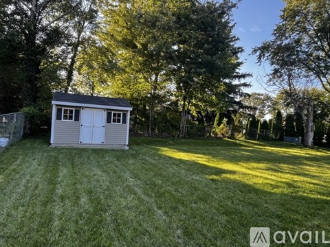 A small white shed sits in a grassy backyard.