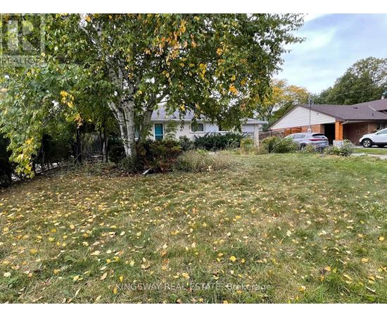 A yard with a tree and a house in the background.