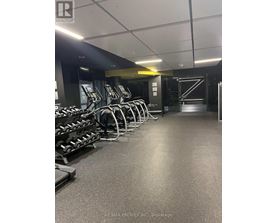 A gym with treadmills and weights.