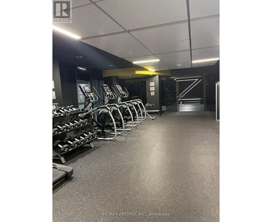 A gym with treadmills and weights.