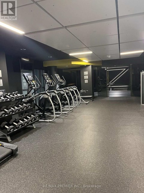 A gym with treadmills and weights.