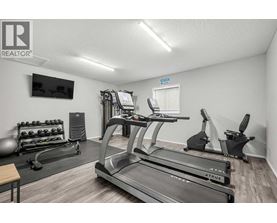 A gym with treadmills, exercise bikes, and weights.