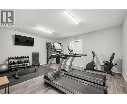 A gym with treadmills, exercise bikes, and weights.