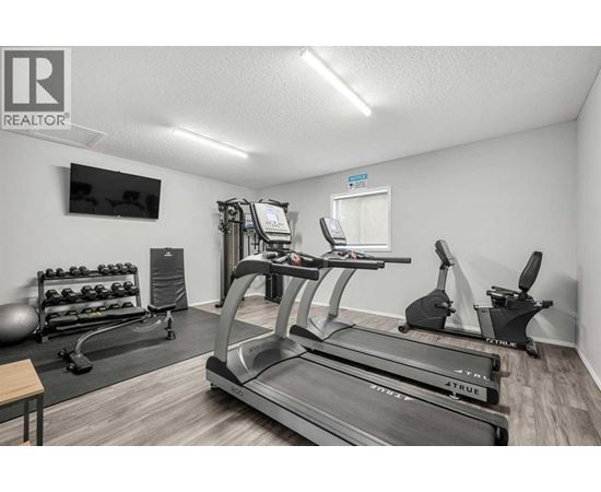 A gym with treadmills, exercise bikes, and weights.