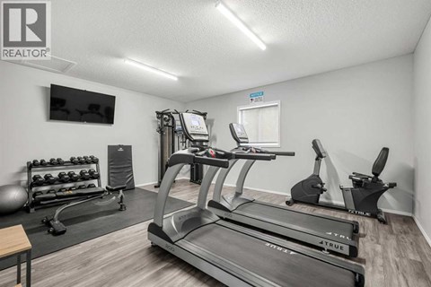 A gym with treadmills, exercise bikes, and weights.
